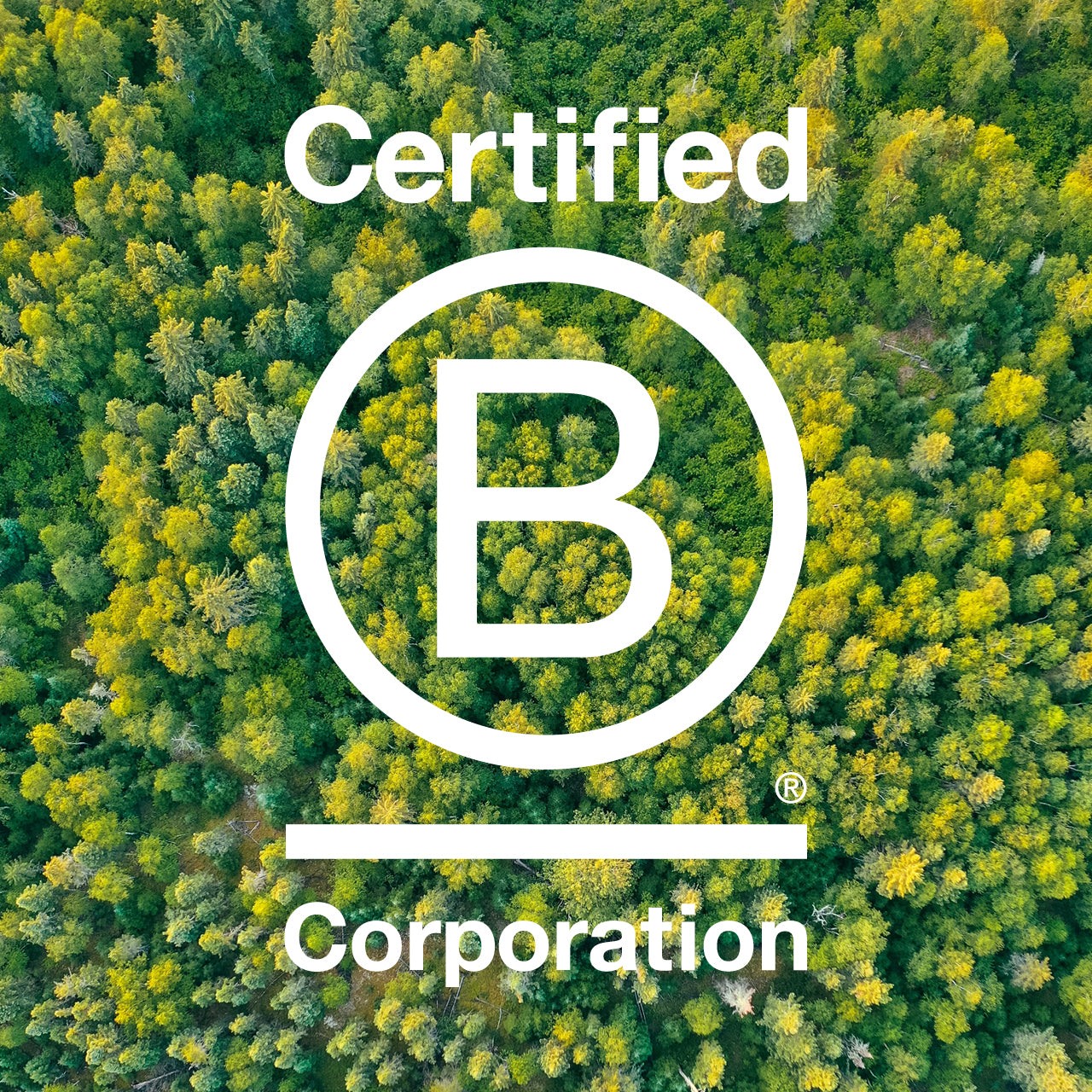 Planted Receives B Corp Certification