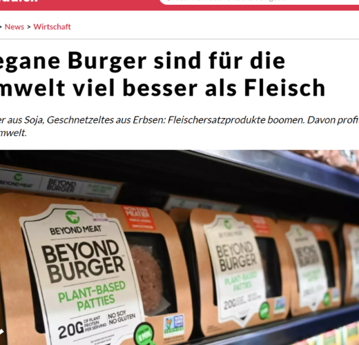 Vegane Burger sind für die Umwelt viel besser als Fleisch